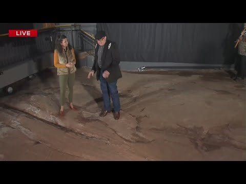 Hagood Mill holds Native American Celebration and offers Cherokee Language lessons