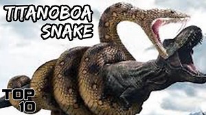 Top 10 Extinct Animals We Should Not Bring Back To Life 👀 | Most Amazing Top 10