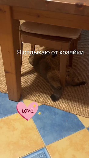 Kristina_16 (@kristina_16.08.1993)’s videos with Котик - POLI