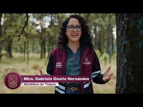 Arrancamos la transformación trabajando 24/7 para proteger nuestro bosque 🌳