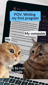 Running code as a new programmer: Error Running code as a professional developer: Error | Codecademy