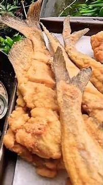 Frying a big platter of fresh caught catfish. #outdoorcooking #friedcatfish