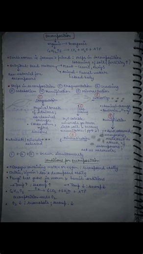 CLASS 12 ECOSYSTEM NOTES #class12