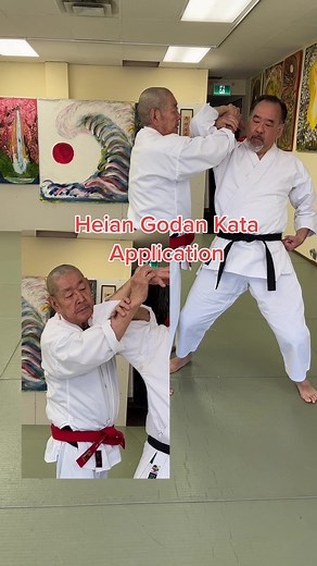 Kata Heian Godan Application Step by Step