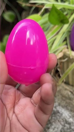 Cute little egg and small fish