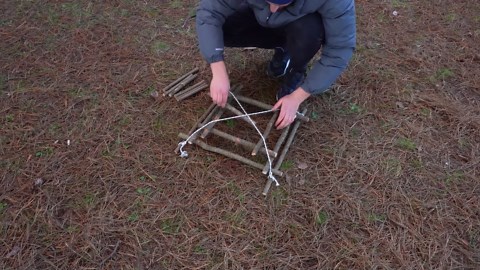 Ensure Food Safety While Camping in Nature