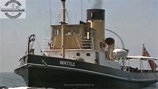 Steam Tug Wattle