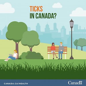 Ticks are in Canada. They live in rural, suburban and urban areas, as...