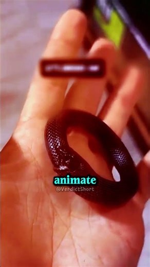 Infinite Snake Loop! 🐍🌀