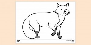 Cartoon Fox Colouring Page