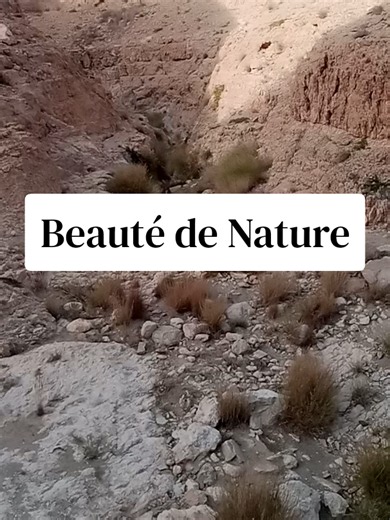Beauté de Nature: simple nature souvenirs and keepsakes