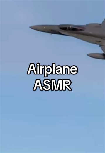#airplaneasmr #pilotsoftiktok #warbirds #flyingwithfriends #f16
