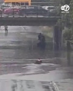 2.1M views · 9.6K reactions | Rain has brought significant flooding to parts of New York City, including Bayside, Queens, as this Citizen App video shows. | ABC7NY | Facebook