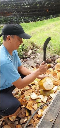 ide usaha menjanjikan, ide usaha modal kecil untung besar, ide usaha kreatif, ide usaha rumahan,