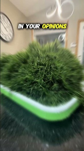 The One Aquarium Plant That Refuses To Die