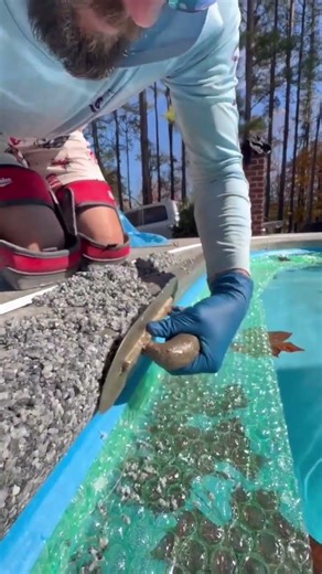 process of correcting the edge of the swimming pool #shorts