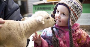 Where to go lambing in Oxfordshire this Easter