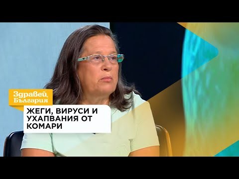 Какви са рисковете за здравето през лятото и как да се предпазим | 03 авг. 2026
