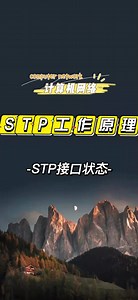STP工作原理：STP接口状态