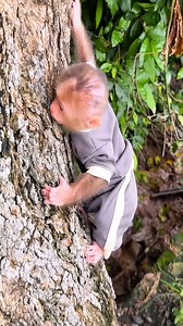 Lala runs away from home to the park and gets lost making Mom worried and looking for her #Lala #Monkey #Bibi #Smart #Love | Lala Update