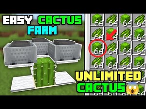 Easiest Cactus Farm in Minecraft Bedrock 1.21! Super Simple & Automatic