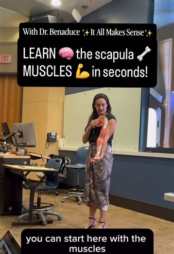 Human Anatomy Course Online — Anatomy Lecture & Lab Guides