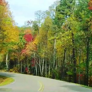 606 reactions · 105 shares | Fall and hitting the road. Is there anything better?  #KOACamping : Pigeon Forge / Gatlinburg KOA | Kampgrounds of America, Inc. | Facebook