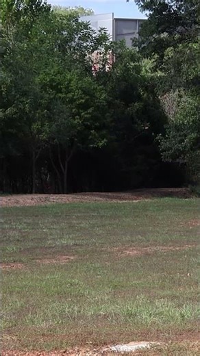 First time throwing the Discmania MD1 did not disappoint #discgolf #shorts