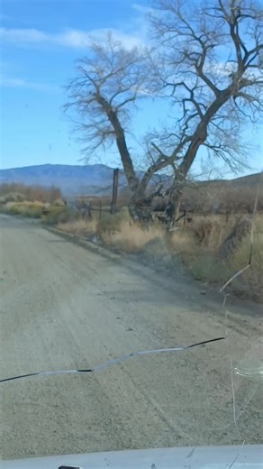 deer herd eating the green grazing grasses just starting to grow up this old canyon. lost in history. donations for fuel we can visit so much more of this high desert filled with gold, silver gemstones and forgotten history Brendarigbyu@gmail.com 928 699-1377 PayPal and cash app