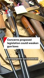 4.3M views · 39K reactions | There are fears that a new bill proposed by the NSW Shooters, Fishers and Farmers Party could make accessing guns easier. #gunlaws #shooters #fishers #farmers #politics #gunregulation #hunting #newsouthwales #7NEWS | 7NEWS Australia | Facebook