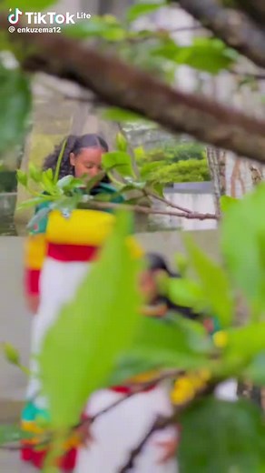 LT@12 (@lt1212122)’s videos with original sound - LT@12