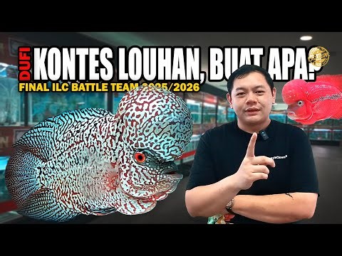 THE BEST LOUHANS IN THE FINAL ILC BATTLE TEAM LOUHAN CONTEST 2025/2026 | DUFI