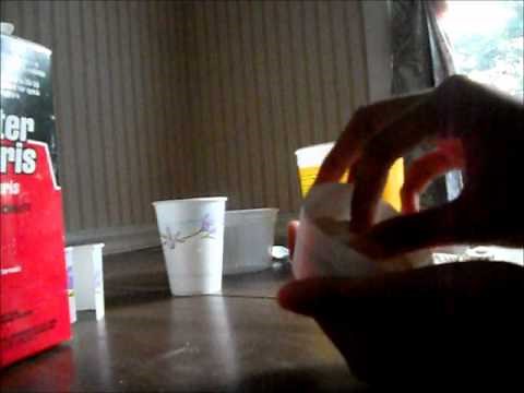 How to make fossils! (DIY)