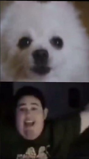 Sad meme (Finale)