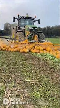 Kürbisernte in der Steiermark mit der AgroStahl Kürbiskern Erntemaschine #agropictures #landtechnik