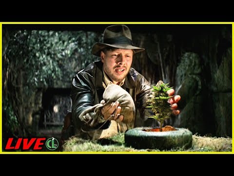 LIVE: My Brand New Garden Setup Reveal!