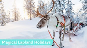 Start looking forward to the holiday of a lifetime... ✈️ Whether you want to take the family off to Disneyland® Paris, hang out in the sun in Florida or head off to see Santa in the snow in Lapland, we’re totally dedicated to making that experience that little bit more special, more memorable, more amazing ⭐ Find your magical holiday today! https://facebook.magicbreaks.co.uk/ ☎️ Call us today on 0330 880 5012 ☎️ | MagicBreaks | Facebook