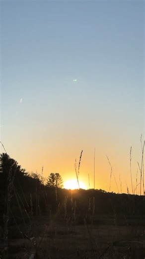 Take time to reset, it’s necessary #fyp