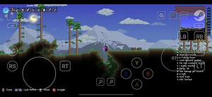 Terraria Steam Link