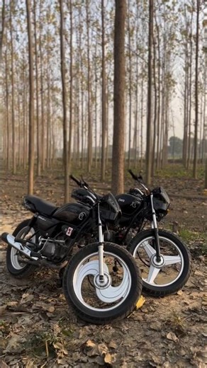 HERO SPLENDOR🐍 MODIFIED♠️#splendor #status #video #modified #bike#trending #shorts #shortvideo