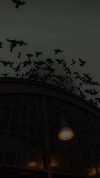 Somewhere Far Away from Here Lyrics