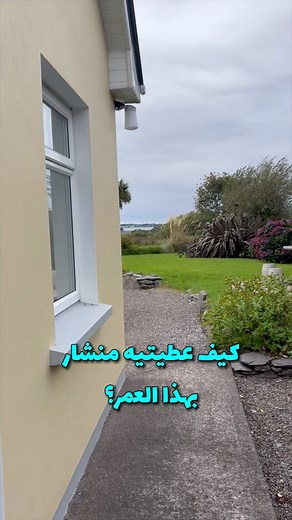 ‎خديجة آشوَرْث | Khadijah Ashworth‎ on Instagram‎: "عمركم فكرتوا بالنجارة كهواية مناسبة للأطفال؟ يمكن أكبر فائدة لمستها من خلال هواية الأطفال هذي هي قدرتهم على تحويل تفكيرهم الإبداعي إلى مجسمات ثلاثية الأبعاد لها فائدتها زي حامل المناديل - بخلاف الرسم والتلوين على سبيل المثال ♥️ وش تقترحون يبني عثمان بعد؟"‎