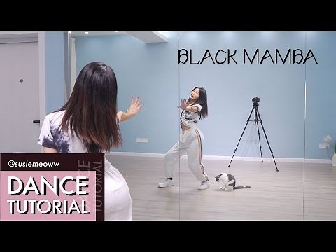[Dance Tutorial] aespa 에스파 'Black Mamba' Explained & Mirrored (2-Chorus)