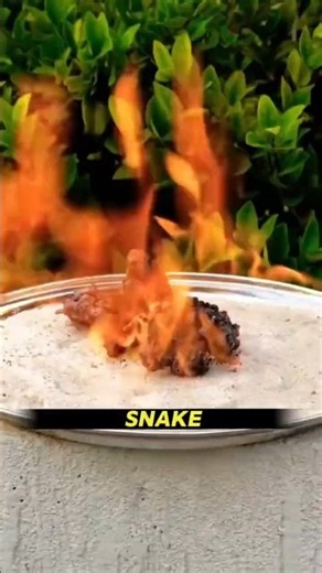 The Secret Science Behind These Crazy Home Hacks! 🧪✨ #scienceexperiments #science#usa #sciencetricks