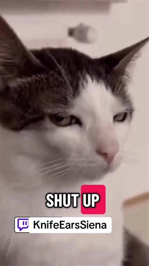 first time chatters be like #vtuber #gamergirl #cringe #dbdtiktok #vtuberclips
