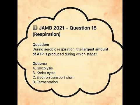 “Aerobic Respiration EXPLAINED: Which Stage Makes the Most Energy? ⚡” Episode 1