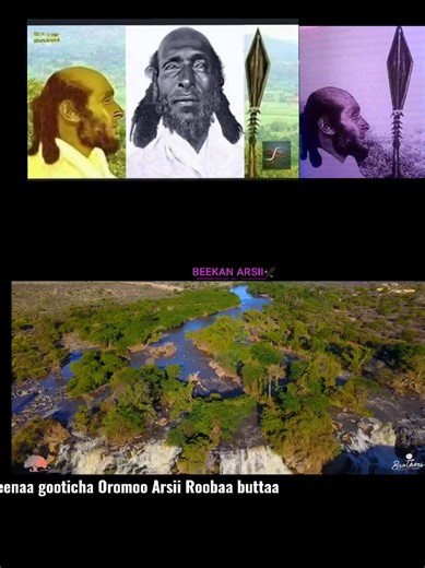 Seenaa Gooticha Arsii Roobaa Buttaa