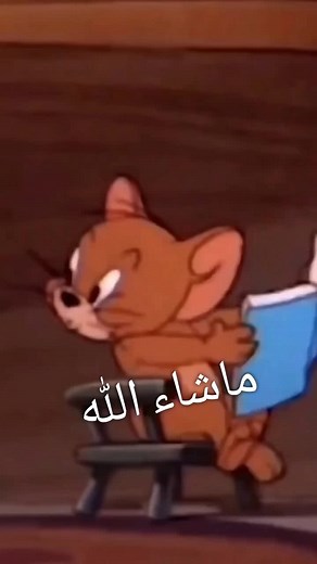 حسابات مقترحة