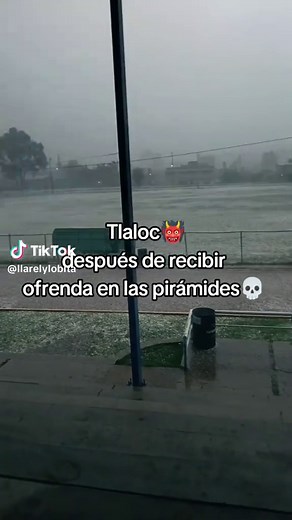Flores en Nanacamilpa: Primavera con Aroma de Invierno