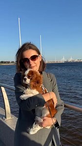 These Cavaliers thrive on closeness and connection, which is why they fit so naturally into family homes. #FamilyBondCavaliers | Cavalier king Charles spaniel puppies for adoption